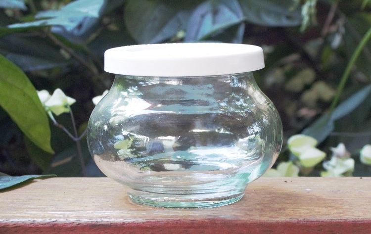 1 x 220ml Deco Jar with WHITE STORAGE LID - Ball Mason Australia