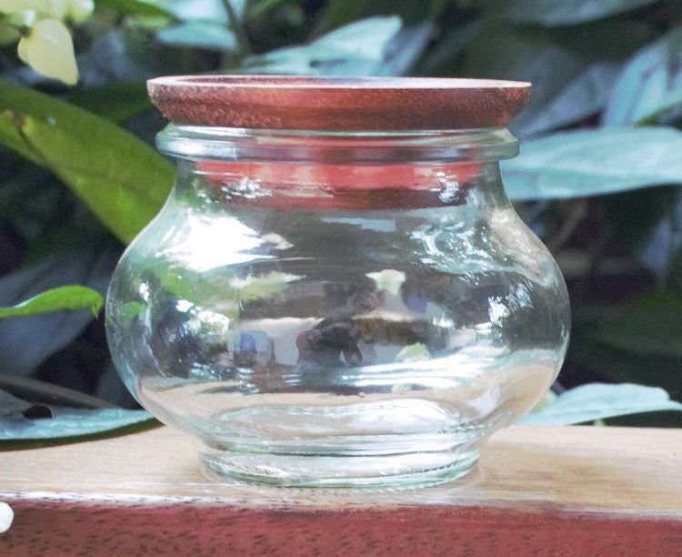1 x 220ml Deco Jar with wooden lid - Ball Mason Australia