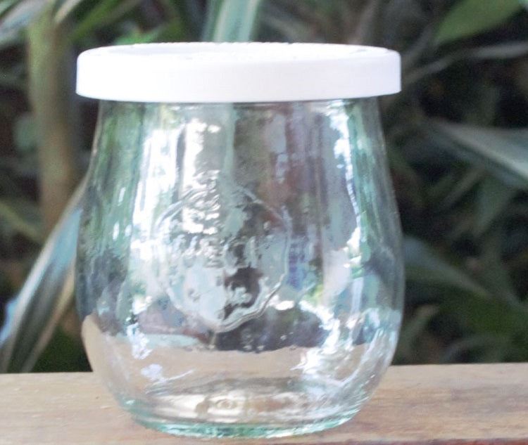 1 x 220ml Mini Tulip Jar with WHITE STORAGE LID - Ball Mason Australia