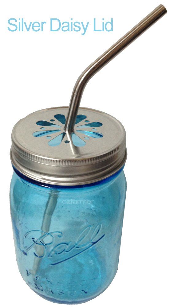 Bent Stainless Steel Drinking Straw - Ball Mason Australia