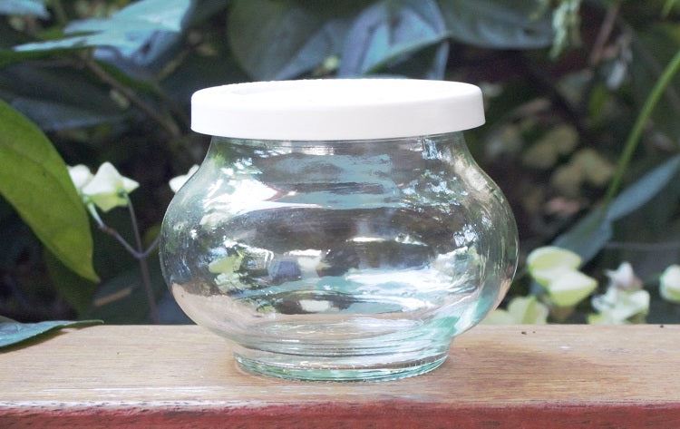 Weck 220ml Deco Preserving Jar with White Storage Lid (Single)