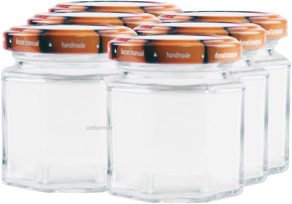 100ml Octagonal Rex Jars with Fruit Pattern Lids - Pack of 6 - Ball Mason Australia